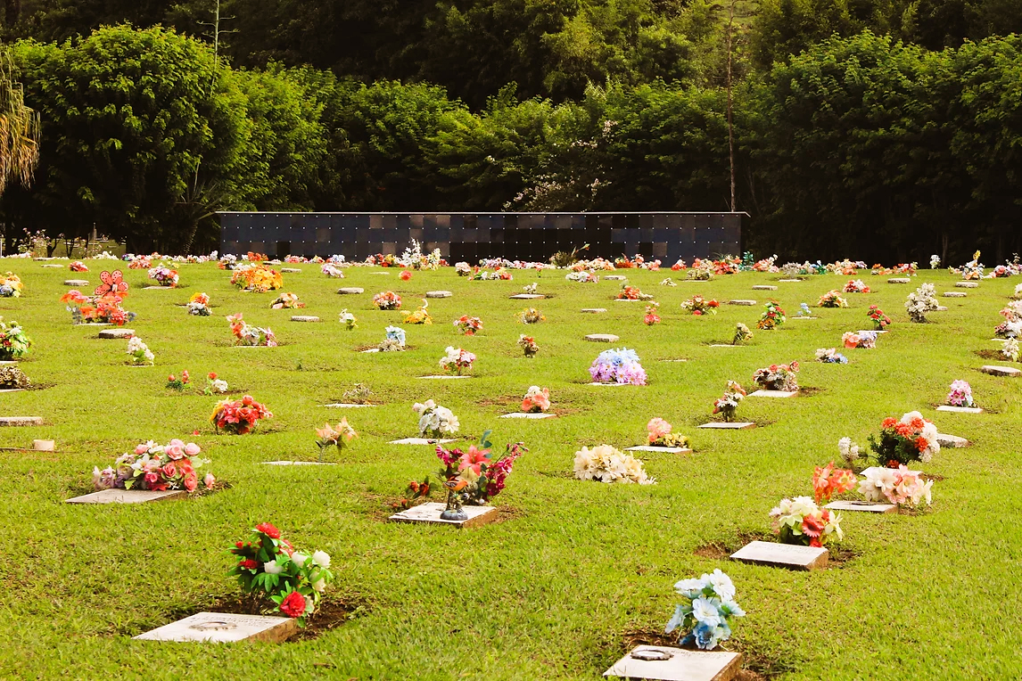 Cemitério Repouso da Saudade